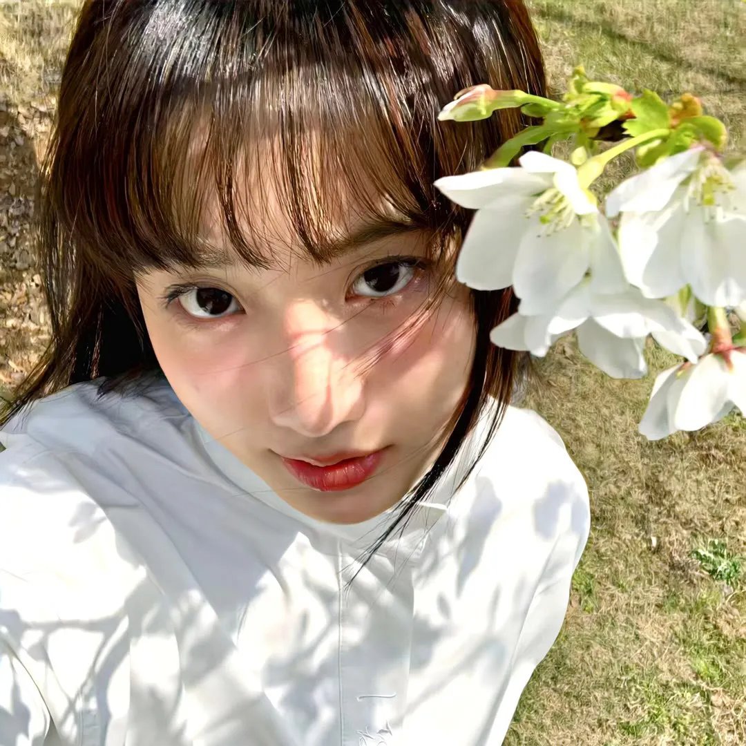 双子谜情